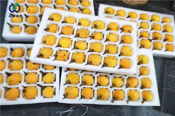 珍珠棉水果托定做，就找五周泡綿