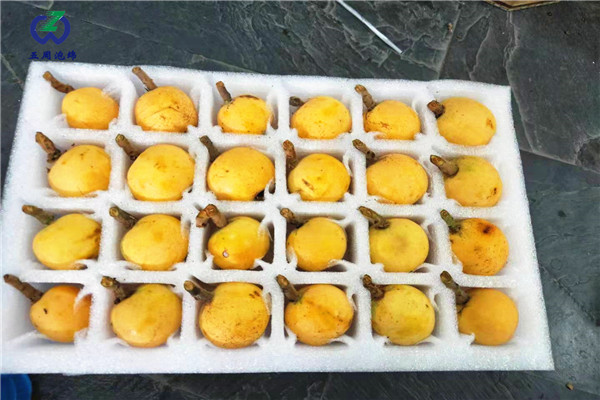 防止水果運(yùn)輸霉變，用珍珠棉水果托就對了